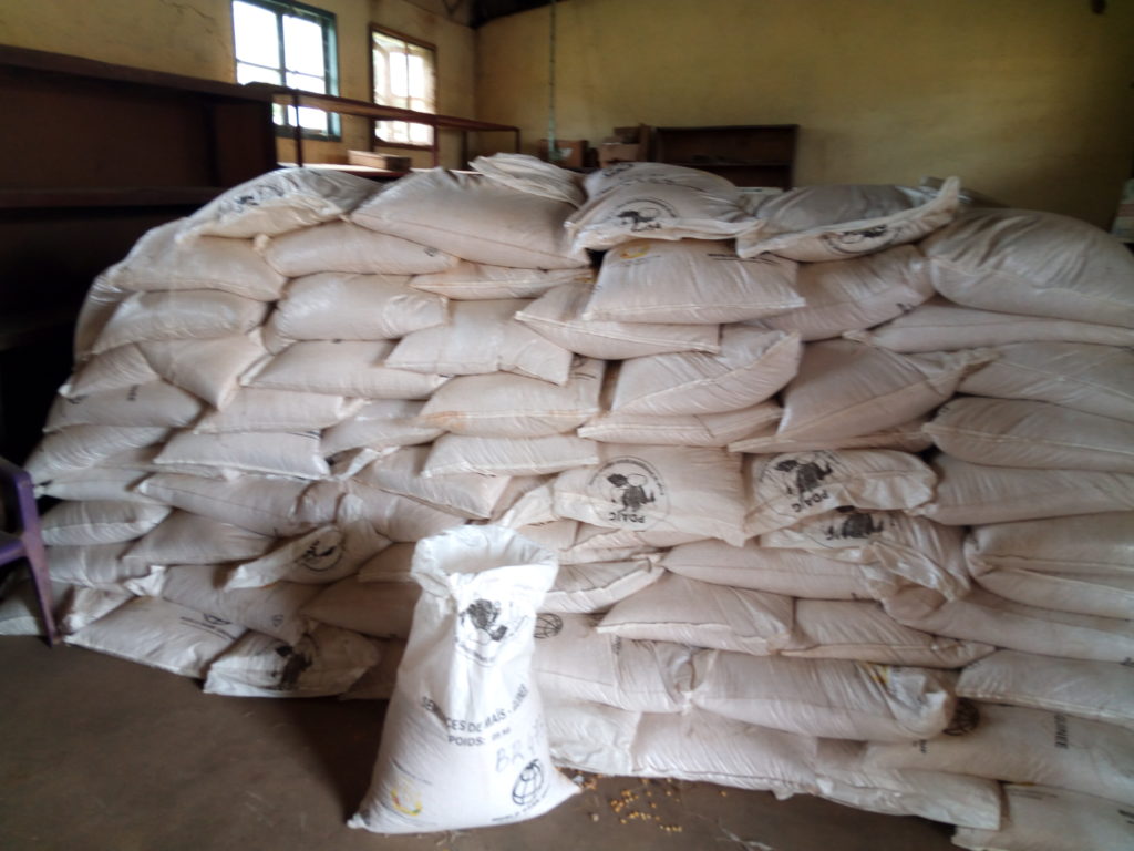 Guinée: vers la distribution de nouvelles variétés de semences de riz et de maïs à haut potentiel de rendement