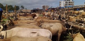 Fête de Tabaski: Des fidèles s'expriment sur la cherté du bétail