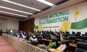 Promotion du textile guinéen: une résolution votée par les Conseillers nationaux