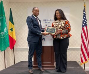 Diaspora/Etats Unis: la guinéenne Djessou Kouyaté lauréate du prix «Leadership Awards»