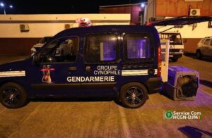 Gendarmerie Nationale: le nouveau Groupe Cynophile reçoit ses premiers chiens