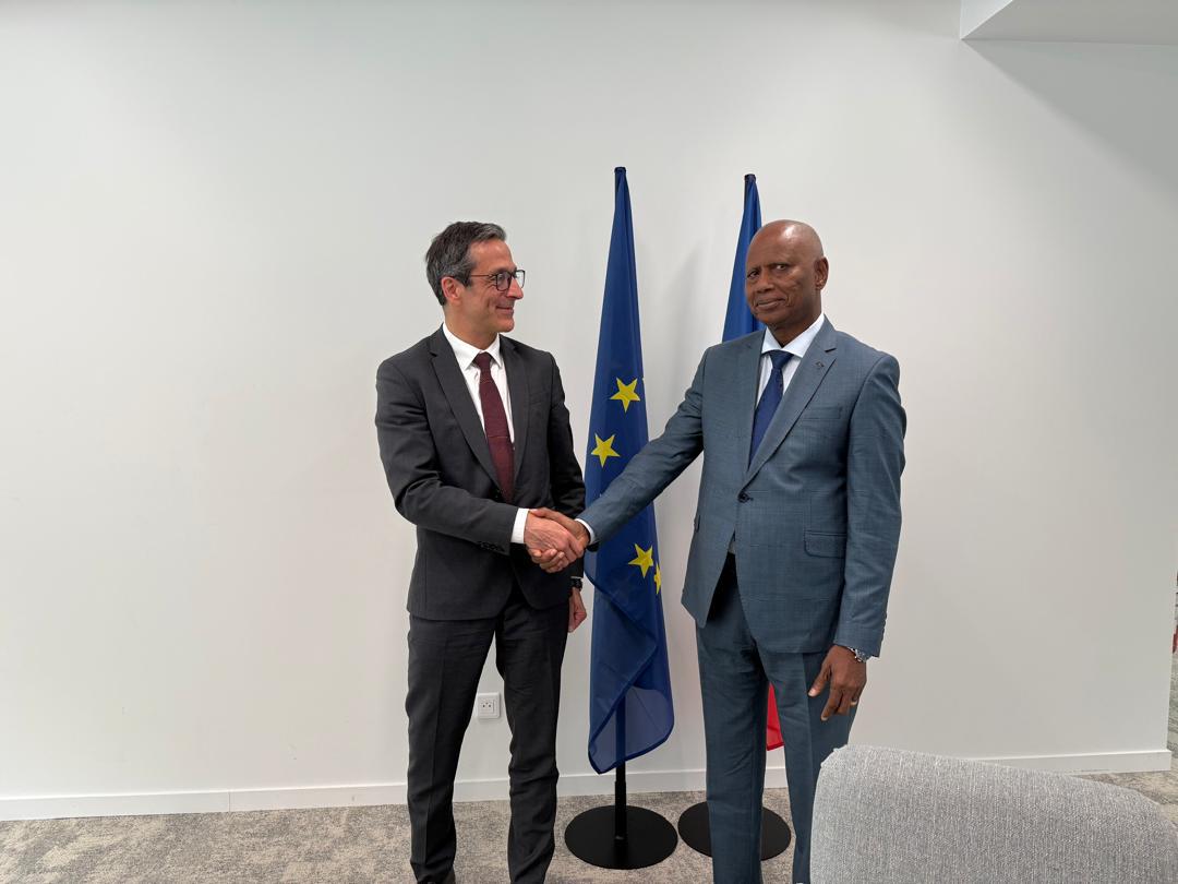 France: Referendum et Élection au menu des échanges entre le Président de la HAC Guinée et le nouveau Président de l’ARCOM FRANCE