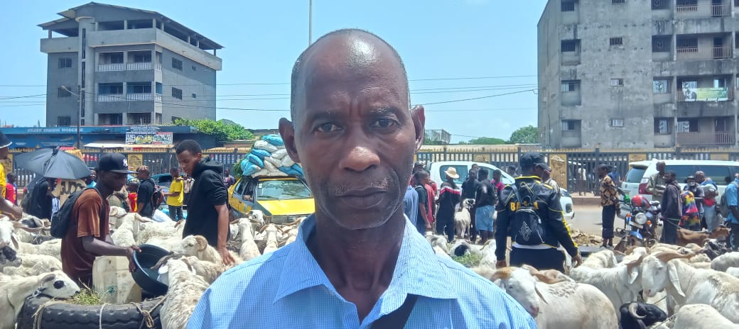 Vente de bétail à l’approche de la Tabaski : Les vendeurs de Yembeya lancent un appel aux fidèles musulmans